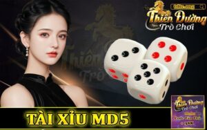 Tài xỉu MD5 - Đánh giá uy tín Tài Xỉu MD5 có bịp không tại TDTC